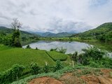 View across green rice fields and a mirror-smooth lake framed by gentle hills – an impression from Jan Wengryn’s travels through Southeast Asia.